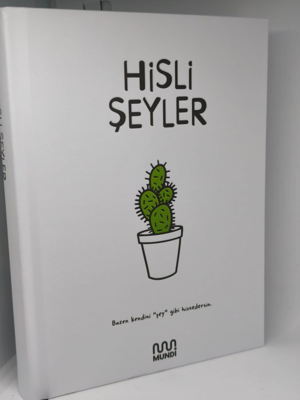 Hisli Şeyler