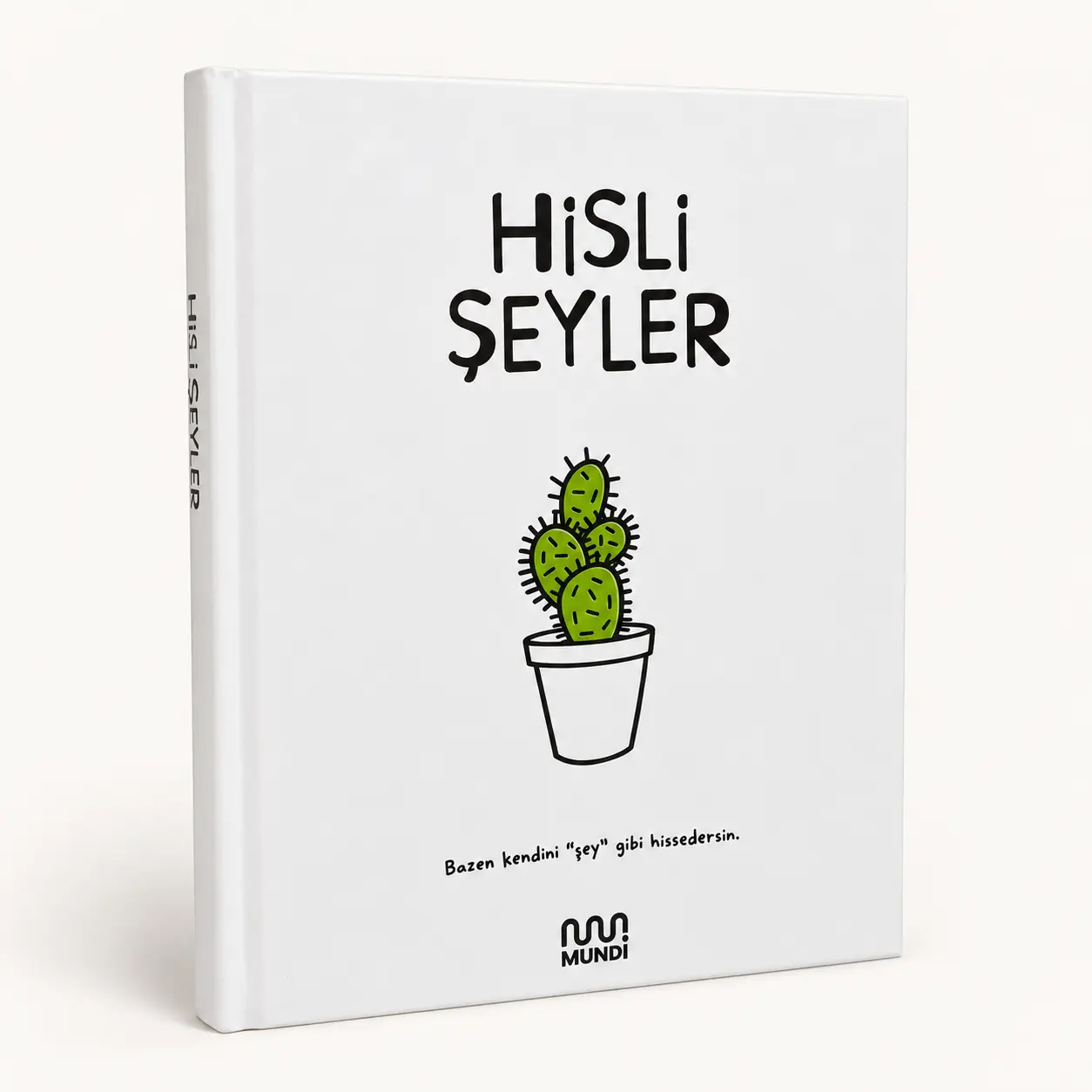 Hisli Şeyler